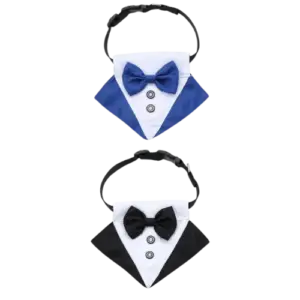 collar con corbata para perros yorkshire
