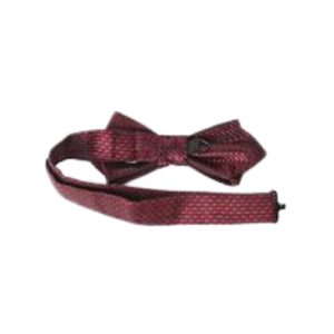 Corbata casual Burdeo para perro