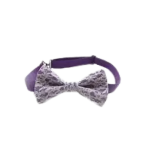 Corbata casual con encaje para tu mascota