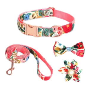 kit 4 Accesorios correa para paseo