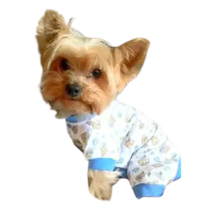 Pijama Ideal para tu mascota