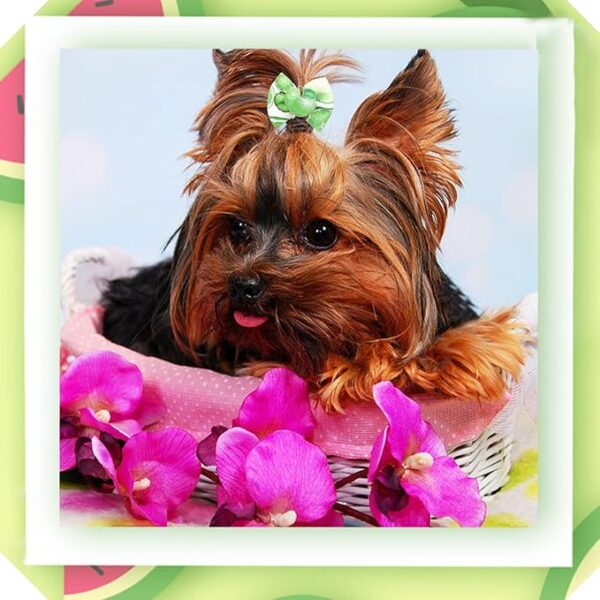 Kit de 24 Lazos para el pelo de perro con banda de goma, patrón de frutas hawaianas de verano - Imagen 5