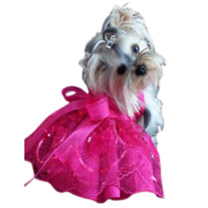 Vestido de fiesta tipo Princesa