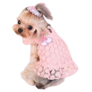 Vestido rosa de encaje