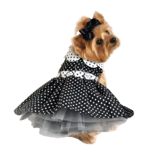 Vestido de Gala con Tull