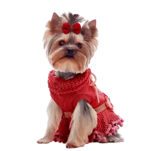 portada accesorio-vestido rojo hermoso vestido de lana roja